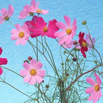 快盈lV购彩大厅app下载截图